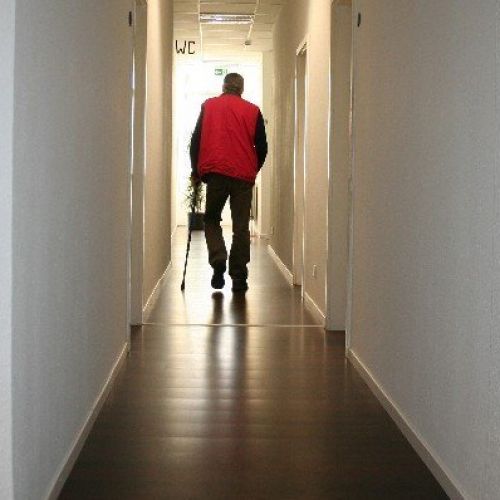 Die Ergotherapie